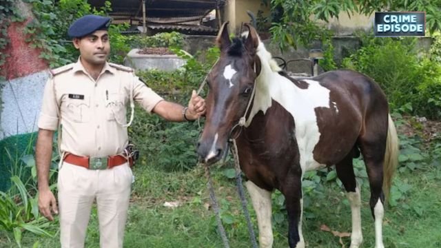 बिहार में शराबबंदी फेल? पुलिस ने पकड़ी 50 लीटर देसी शराब