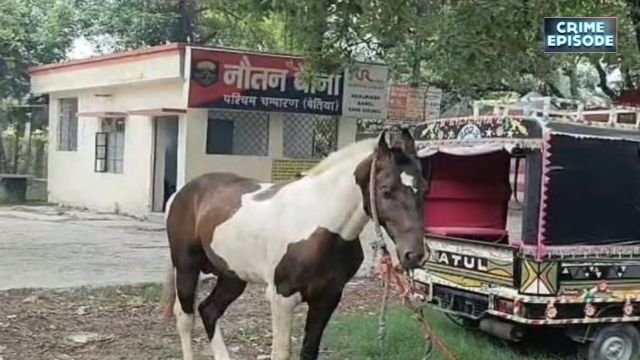 बिहार में शराबबंदी फेल? पुलिस ने पकड़ी 50 लीटर देसी शराब